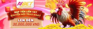 Khuyến mãi tiền thưởng thú vị tại Nbet