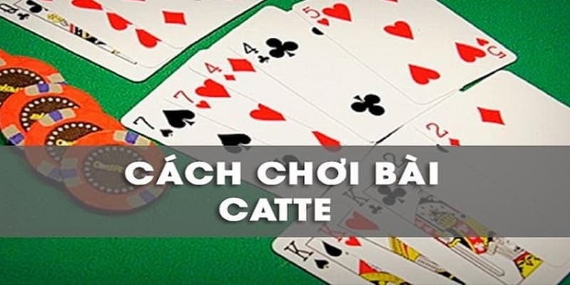 Game bài Catte là gì?
